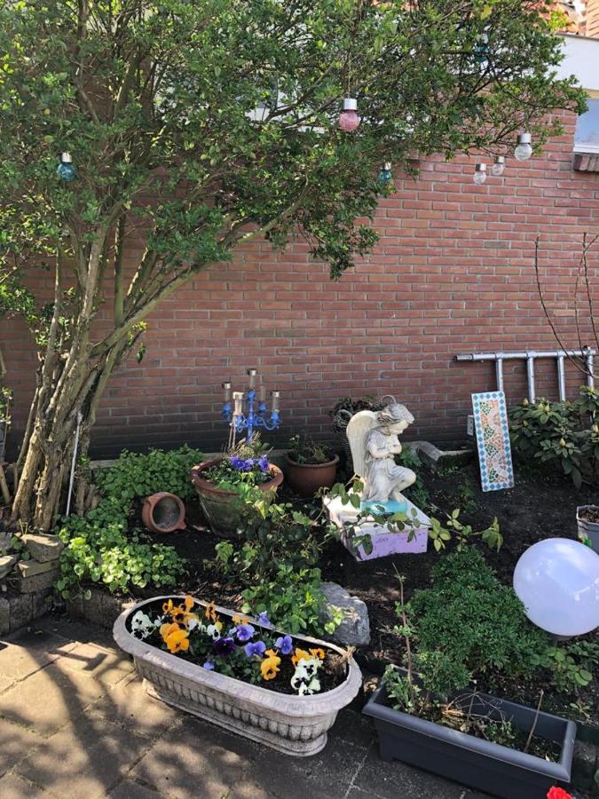 Zomerhuis Vlak Bij Zee Villa Wijk aan Zee Eksteriør billede